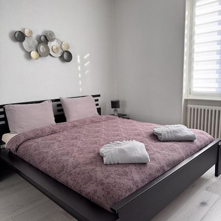 Appartement Des 3 Pays. 2 Mn De Bale+ Free Parking Сен-Луи Экстерьер фото