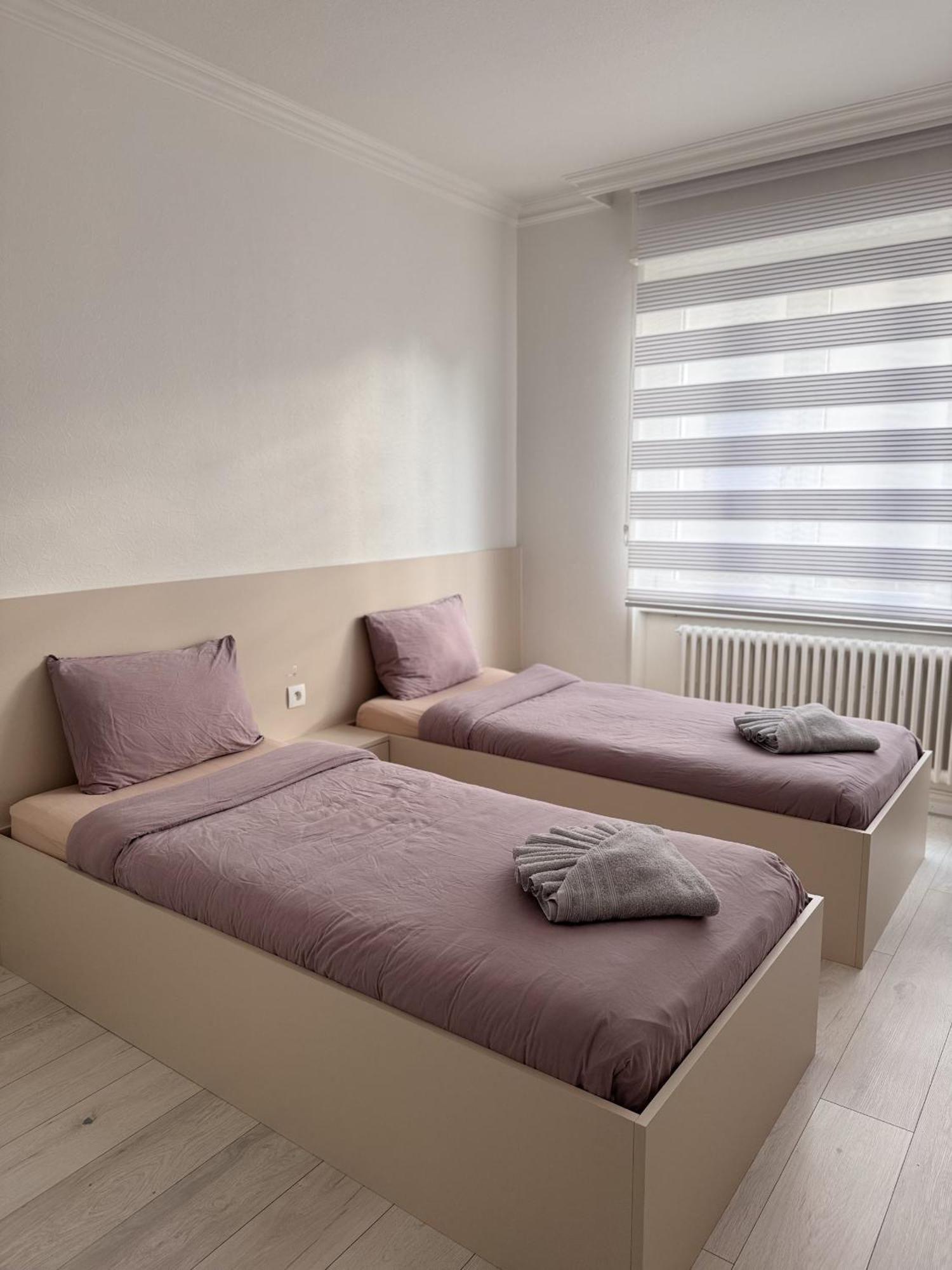 Appartement Des 3 Pays. 2 Mn De Bale+ Free Parking Сен-Луи Экстерьер фото
