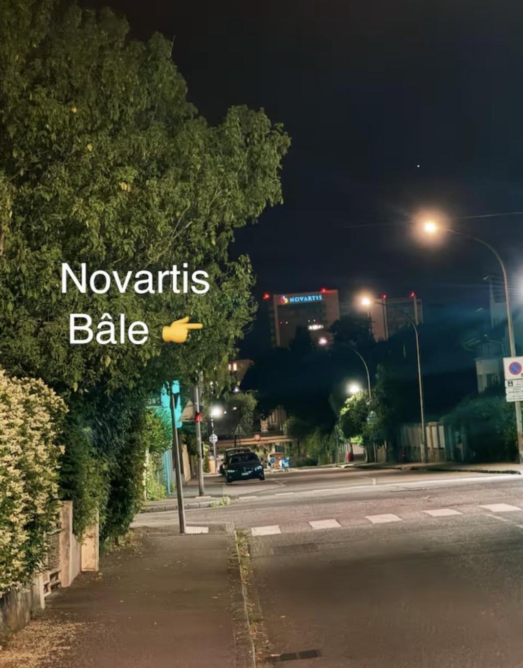 Appartement Des 3 Pays. 2 Mn De Bale+ Free Parking Сен-Луи Экстерьер фото